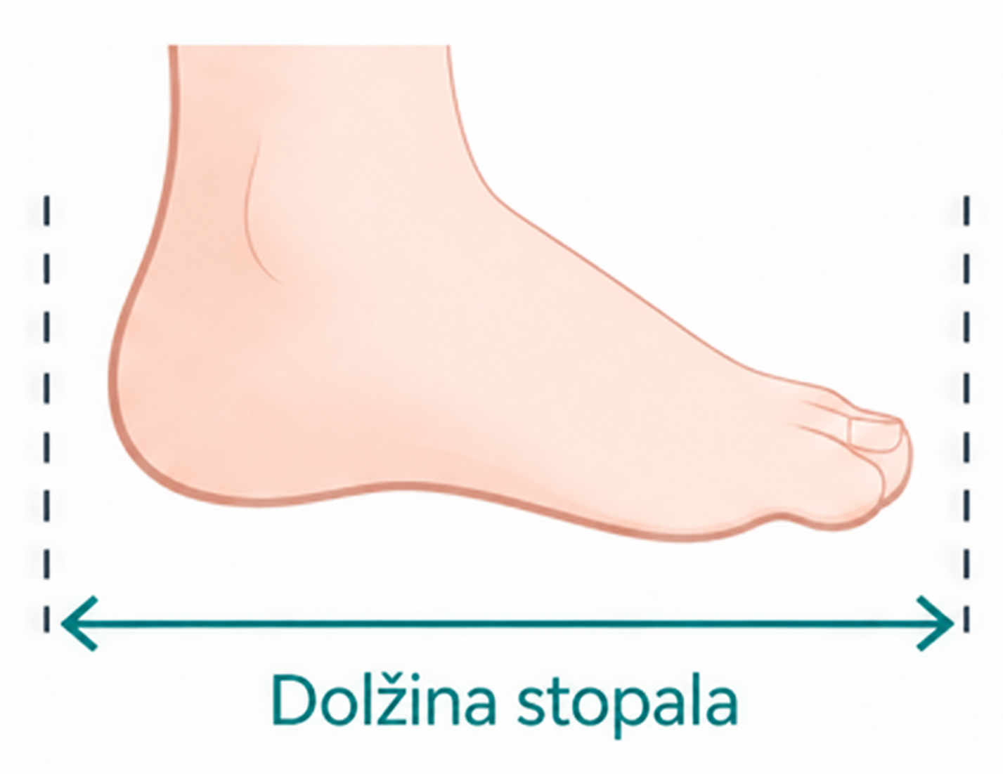 shoe size diagram